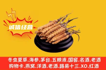 大连回收冬虫夏草